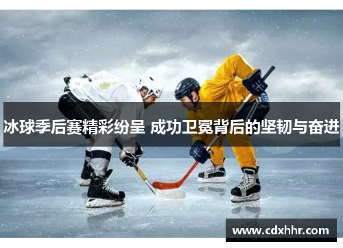 冰球季后赛精彩纷呈 成功卫冕背后的坚韧与奋进