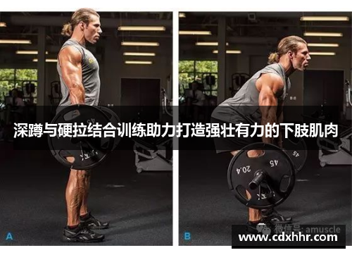 深蹲与硬拉结合训练助力打造强壮有力的下肢肌肉