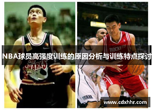 NBA球员高强度训练的原因分析与训练特点探讨