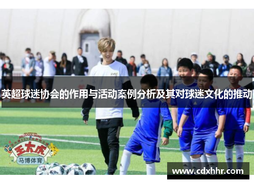 英超球迷协会的作用与活动案例分析及其对球迷文化的推动