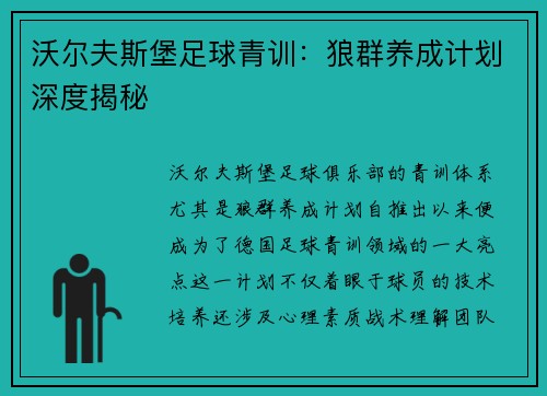 沃尔夫斯堡足球青训：狼群养成计划深度揭秘