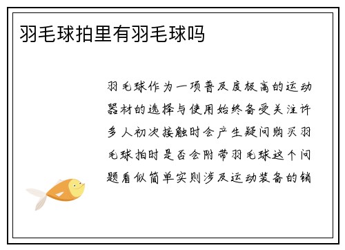 羽毛球拍里有羽毛球吗